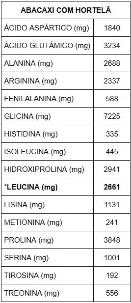 BEEF PROTEIN -  Sabor abacaxi com hortelã | 900g